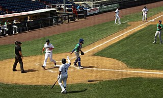 Binghamton Rumble Ponies - Wikipedia