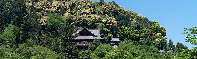 File:Hasedera,長谷寺 本堂 - panoramio - z tanuki.jpg