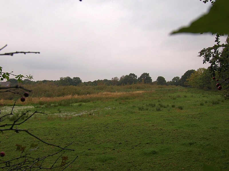 File:Heidmoor Rendswühren.jpg