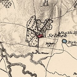 Historical map series for the area of Salama, Jaffa (1870s).jpg