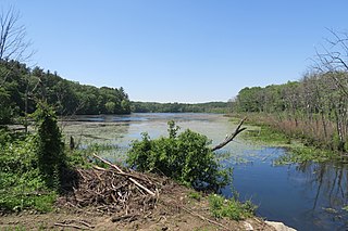 <span class="mw-page-title-main">Hocomonco Pond</span> Body of water