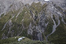 Hutton's research hut in the Kowhai colony