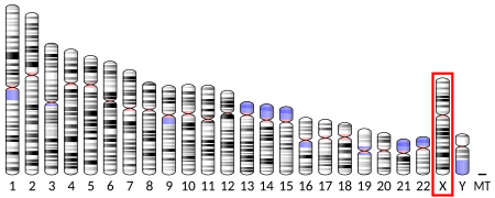 Acetylserotonin O-methyltransferase