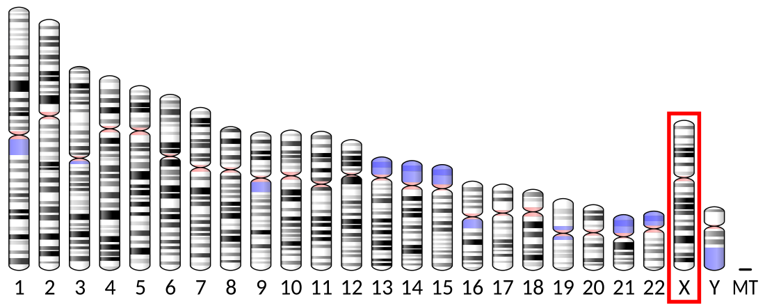 TLR7