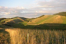 Central Uplands in Baden-Wurttemberg: the Kaiserstuhl Im innere Kaiserstuehl.jpg