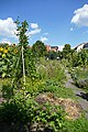 * Nomination Overview of the so called "Sortengarten" connected to the Gärtner- und Häckermuseum in Bamberg. This garden is used to plant rare local varieties of plants, so they do not disappear. It is also used to teach people about plants and different methods of horticulture. --Kritzolina 15:52, 23 August 2023 (UTC) * Promotion  Support Good quality. --Ermell 19:53, 23 August 2023 (UTC)