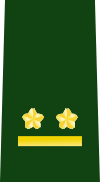 JGSDF First Lieutenant insignia (b).svg