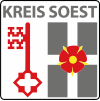 Stilisiertes Kreiswappen zur Verwendung für jedermann.