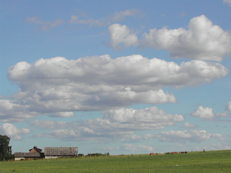 File:Joegeva maakond-Sky.JPG