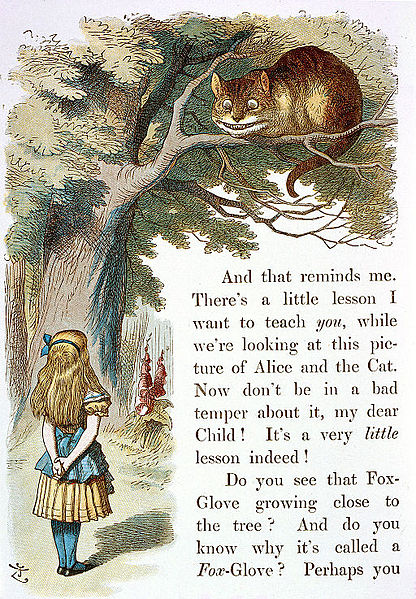 File:John Tenniel - Illustration from The Nursery Alice (1890) - c03757 06.jpg