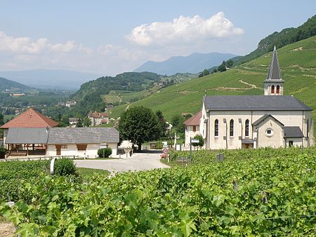 Jongieux Vue générale 3