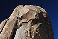 Climbing Light Saber (5.10b) on Star Wars Rock in Geology Tour Road East Side area of Queen Valley.}}