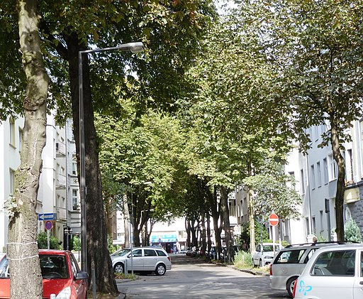 Köln Glücksburgstr. Allee