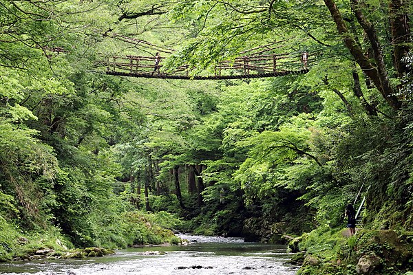 Image: Kazura Bridge in Ikeda Town