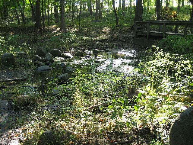 Silver Spring, the park's namesake