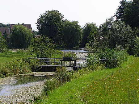 Kiebitzbrack Gose Elbe Graben