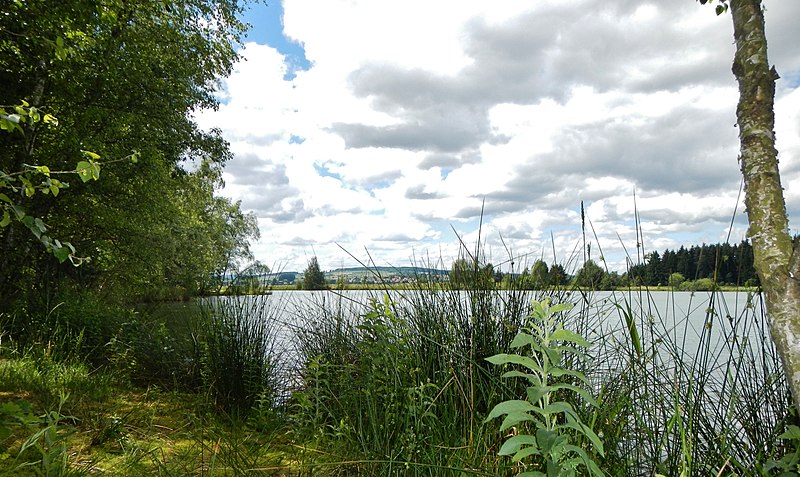 File:Kiesgrube Hüfingen - panoramio (2).jpg