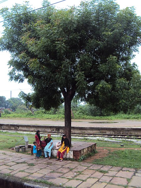 File:Konkan - Western Ghats - Scenes from India's Konkan Railway 01.JPG