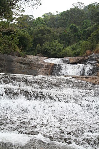 <span class="mw-page-title-main">Kozhippara Waterfalls</span> Waterfalls in Kerala, India