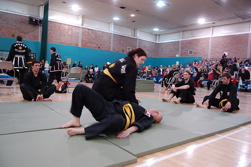 File:Kuk Sool Won-Joint lock technique 04.jpg