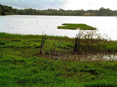 Kukkarahalli kere Kukkarahally lake Mysore.JPG