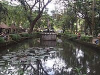 The ecopark pond in November 2011