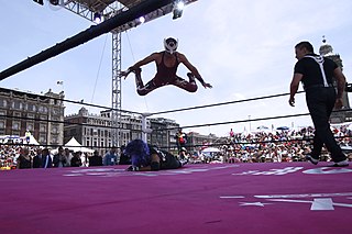 Eclipse Jr. Mexican professional wrestler