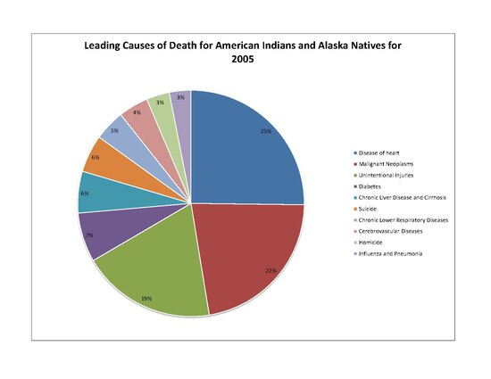 The leading causes of death by percentage for Native Americans and Alaska Natives for 2005. Heart disease accounted for 25% of deaths, cancer 22%, accidents 19%, diabetes 7%, liver disease 6%, suicide 6%, respiratory diseases 6%, stroke 4%, homicide 3%, and influenza and pneumonia 3%. Leading Causes AIAN.pdf