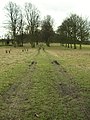 Ledston Hall park grounds - geograph.org.uk - 121922.jpg