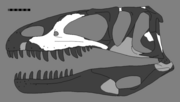 Miniatura para Leshansaurus qianweiensis