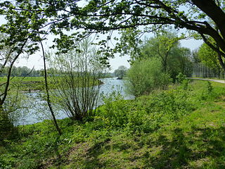 Nature à Lippe.