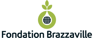 Fortune Salaire Mensuel de Fondation Brazzaville Combien gagne t il d argent ? 250 000 000,00 euros mensuels