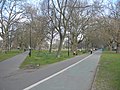 Un'altra foto del parco di London Fields: tuttavia in questa fotografia non è il crepuscolo bensì prima mattina.