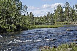 Luttojoki i Finland