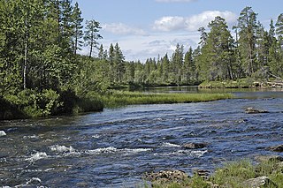 <span class="mw-page-title-main">Lotta (river)</span> River in Finland, Russia