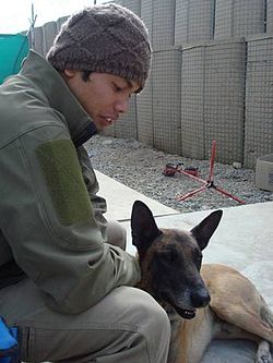 MA1 John Douangdara and his partner Bart while on deployment.