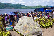 Banane plantain au marché Maluku en provenance du Kongo-central