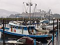 The MS Oosterdam as seen from the port of Sitka, Alaska.