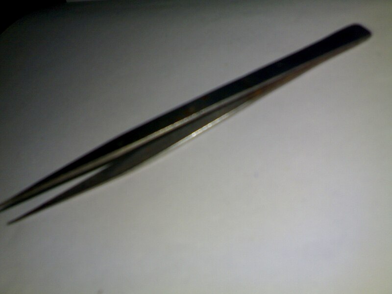 File:Medical instrument Plain dissecting forceps.jpg