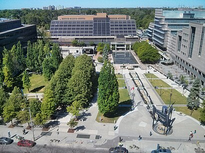 How to get to Mel Lastman Square with public transit - About the place