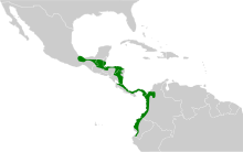 Melanerpes pucherani map.svg