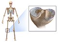 Pisipilt versioonist seisuga 13. juuni 2016, kell 02:22