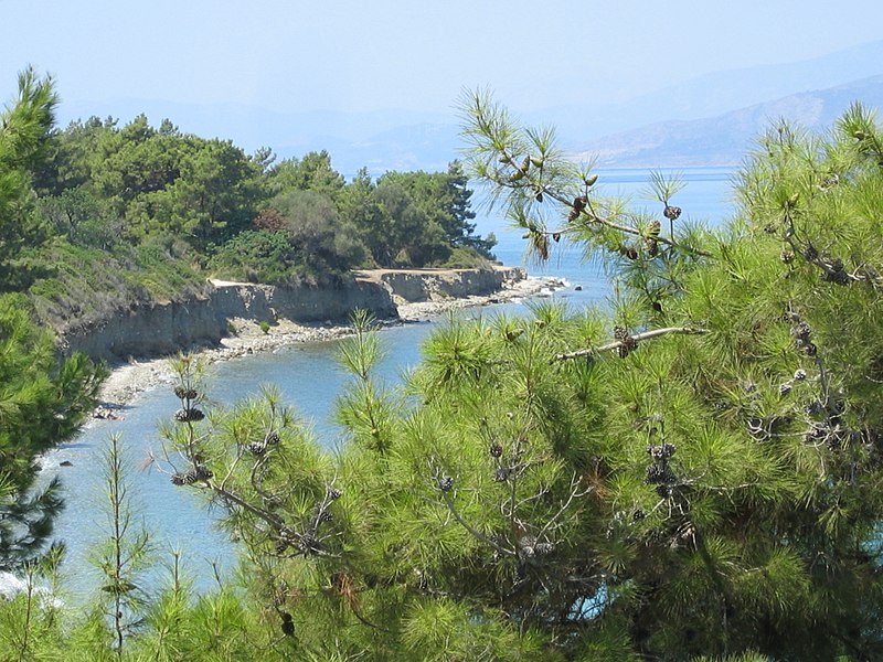 File:Milli park manzara - panoramio.jpg