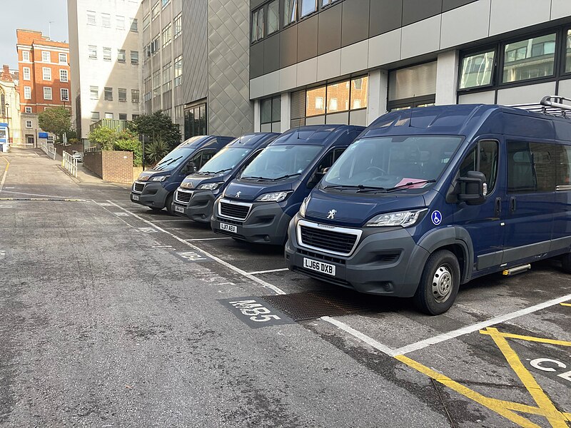 File:Minibus Fleet Oct 2022.jpg