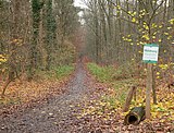 12/2021: Misburger Wald