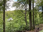 Naturschutzgebiet Mittleres Ittertal und Baverter Bachtal