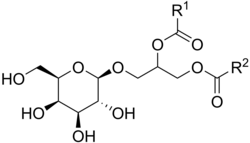 Algemene structuur van een monogalactosyldiacylglycerol (MGDG), een veelvoorkomende galactolipide. De R-groepen zijn vetzuurketens.