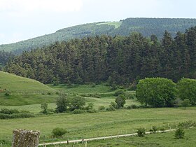 Vue du versant nord de la montagne du Goulet depuis les environs de Belvezet.