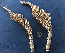 'Morthwyl sinc' or 'Ragyrud', an ancient Welsh weaving practice of a child's rattle made out of rushes or sedge. Morthwyl sinc neu 'rygarug', sef ratl plentyn o wneuthuriad brwyn neu wellt.jpg