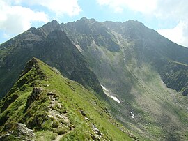 Fegerašo kalnų panorama